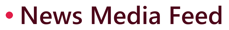 News Media Feed logo